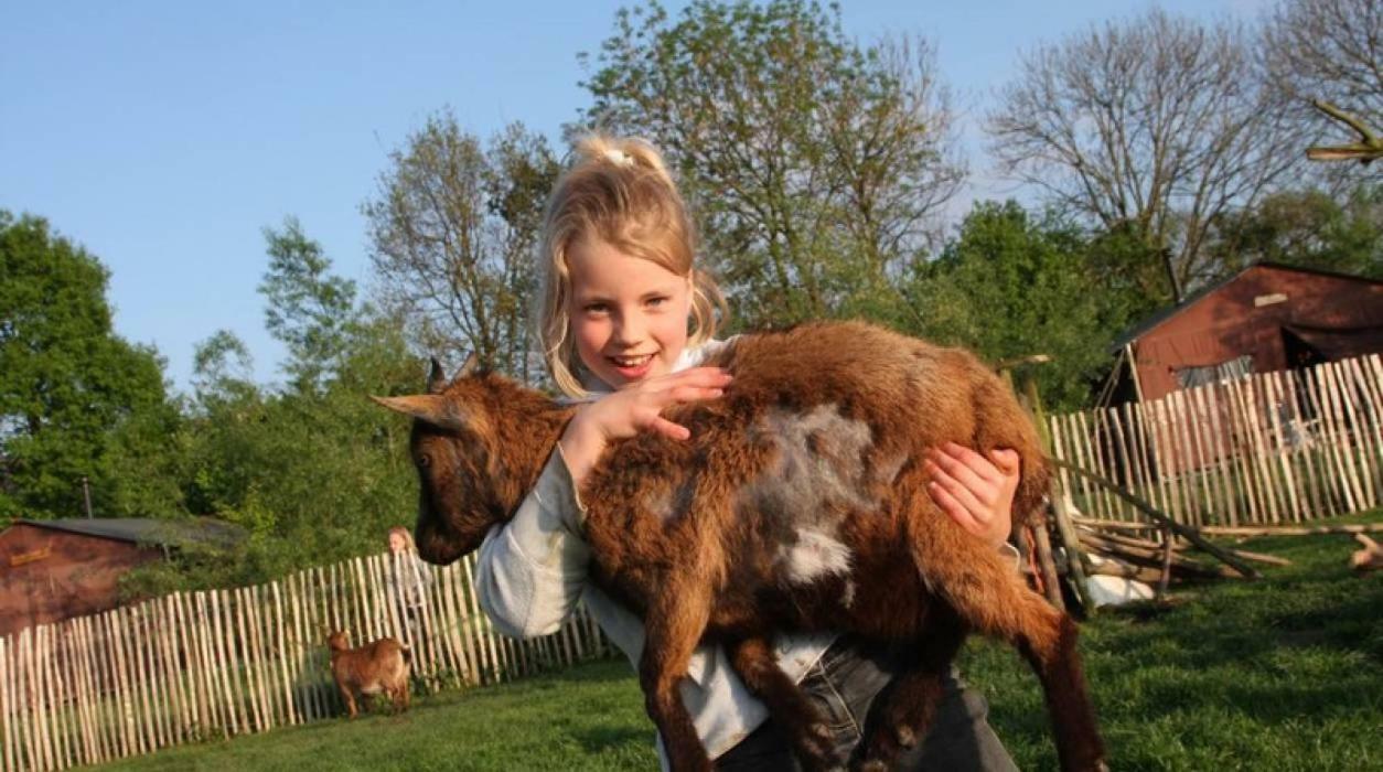 Hoeve De Pippert Ξενοδοχείο Ophemert Εξωτερικό φωτογραφία